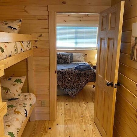 Serene 1Br Cabin Near Nc Z00 With Loft & Waterview Asheboro Kültér fotó